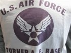 他の写真1: バズリクソンズ　 長袖Tシャツ　USAF　セージ