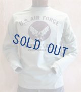 バズリクソンズ　 長袖Tシャツ　USAF　セージ