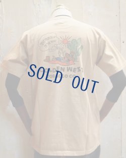 画像1: フェローズ　 Tシャツ