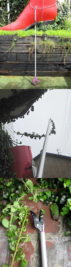 台風上陸