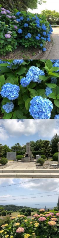 梅雨の三ヶ根山・殉国七士廟再訪