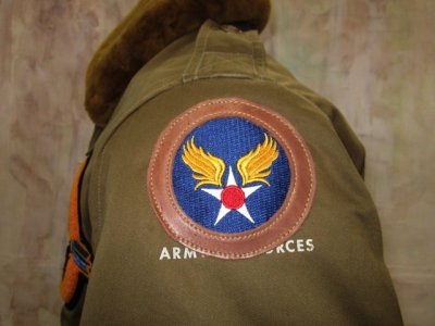 画像2: AAF・USAF　刺繍パッチ　レーヨン刺繍　馬革トリミング付き