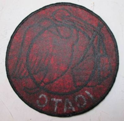 画像1: スコードロンパッチ　レーヨン刺繍　CBI　AVG　