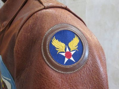 画像3: AAF・USAF　刺繍パッチ　レーヨン刺繍　馬革トリミング付き
