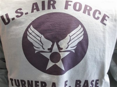 画像1: バズリクソンズ　 長袖Tシャツ　USAF　セージ