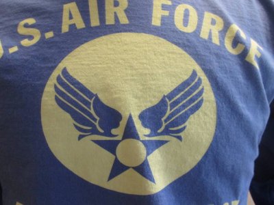 画像1: バズリクソンズ　 長袖Tシャツ　USAF　ブルー