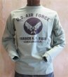 画像1: バズリクソンズ　 長袖Tシャツ　USAF　セージ (1)
