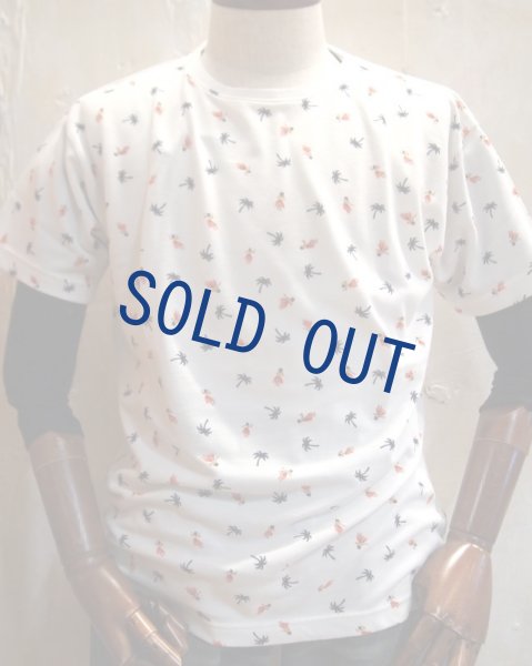 画像1: サンサーフ　鹿の子 Tシャツ　フラダンサー (1)
