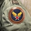 画像10: AAF・USAF　刺繍パッチ　レーヨン刺繍　馬革トリミング付き (10)