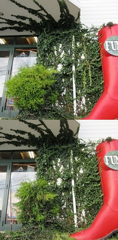 植栽のメンテナンス